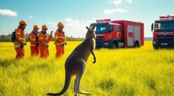 Пожарные пытаются поймать кенгуру на западе Франции